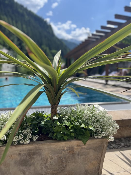 Pool Hotel Weisses Lamm