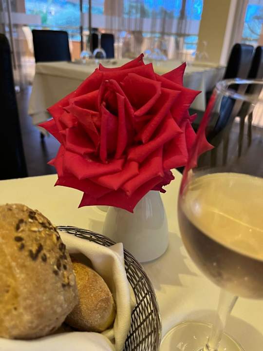 Gastro Hotel Royal Paradise Beach Resort & Spa