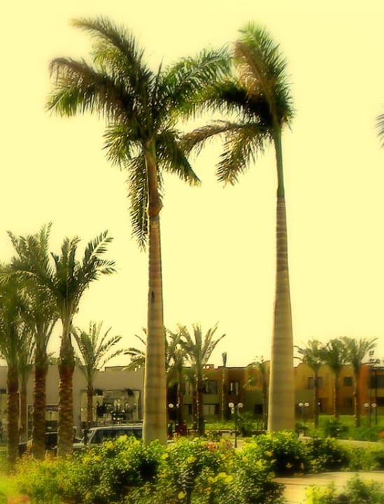 Stella Makadi Stella Beach Resort & Spa Makadi Bay