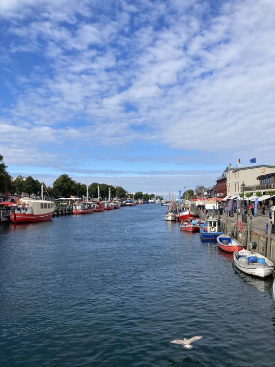 Ausblick Hotel Neptun