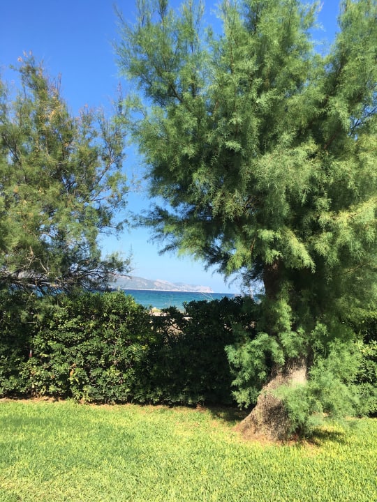 Gartenanlage PortBlue Club Pollentia Resort & Spa