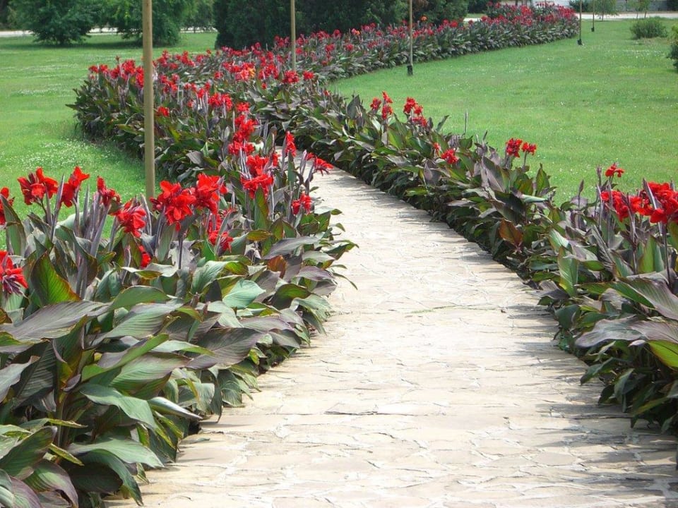 Strandweg Duni Royal Pelican Resort