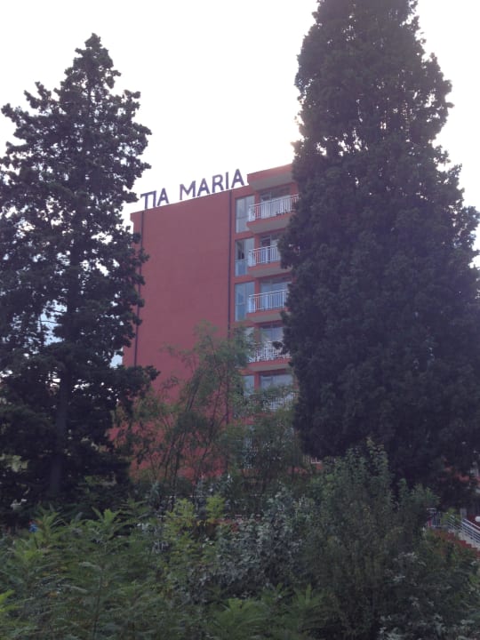 New Face of Tia Maria  Hotel Tia Maria