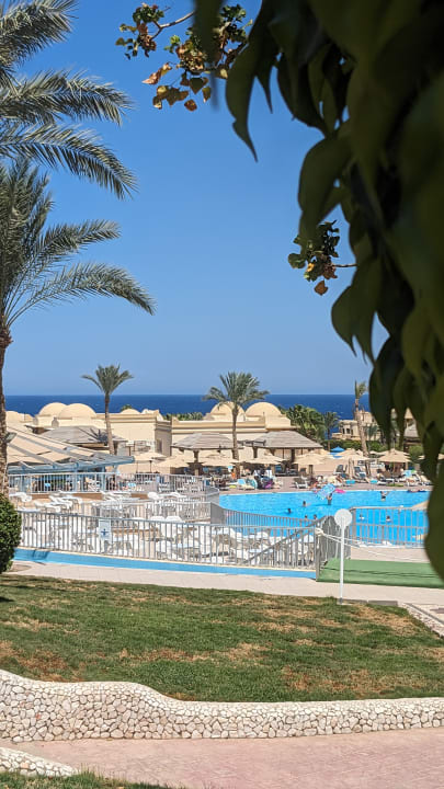 Pool Serenity Alpha Beach