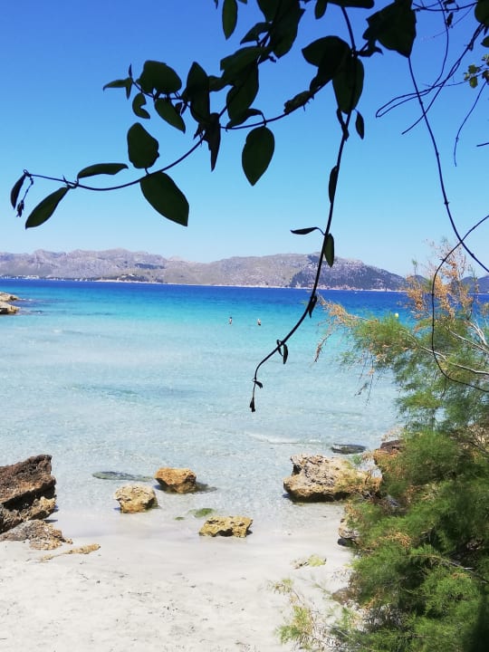 Strand Prinsotel Mal Pas (Adults only)