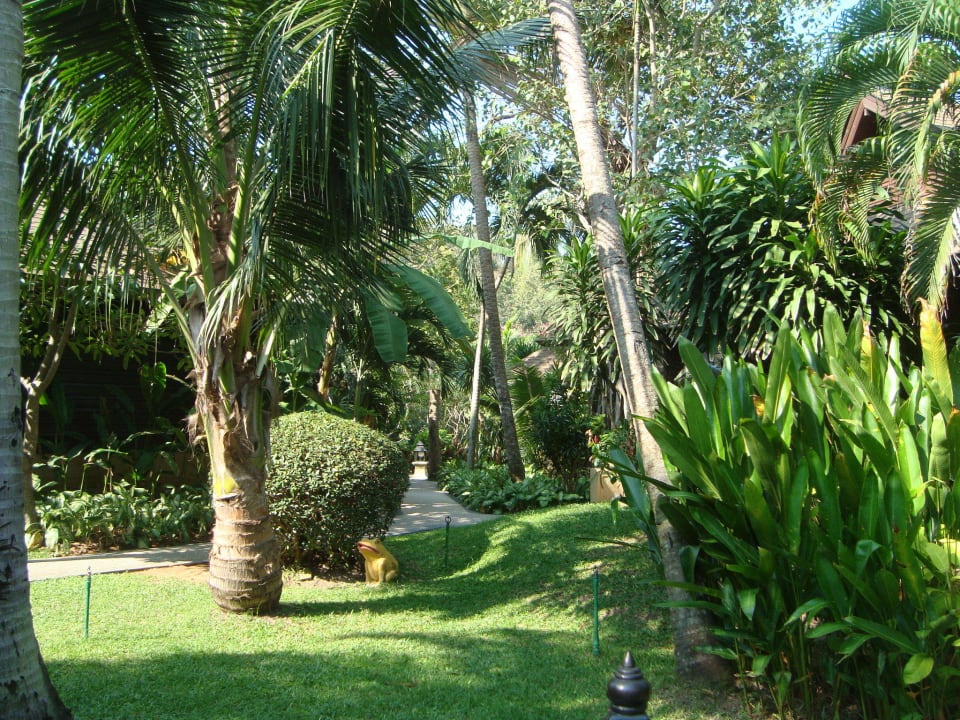 Garten The Fair House Beach Resort