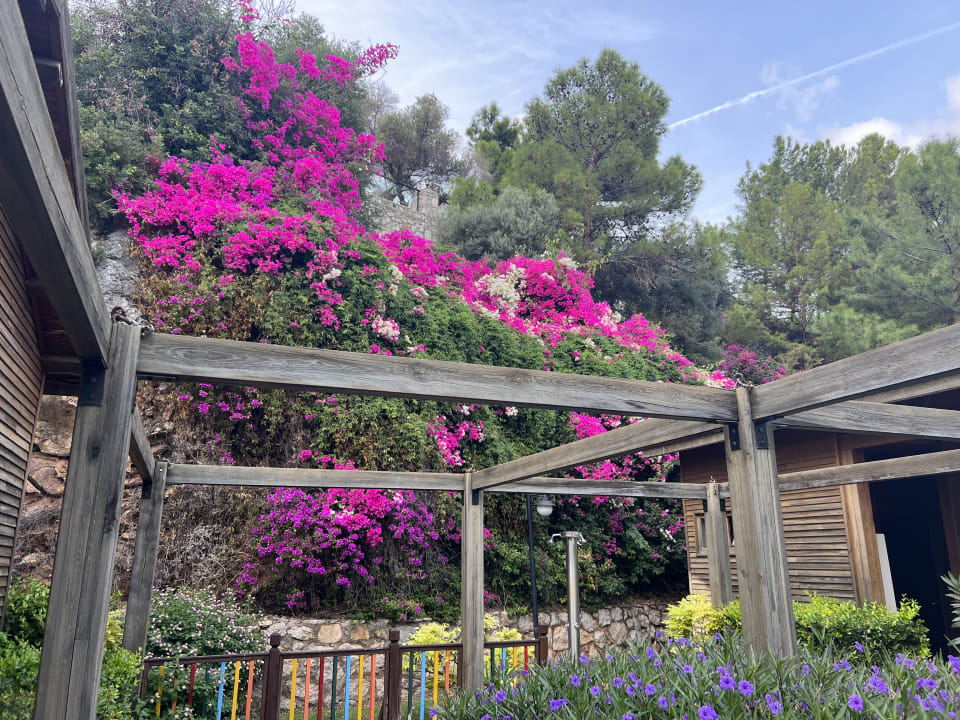 Gartenanlage TUI BLUE Seno - Adults Only