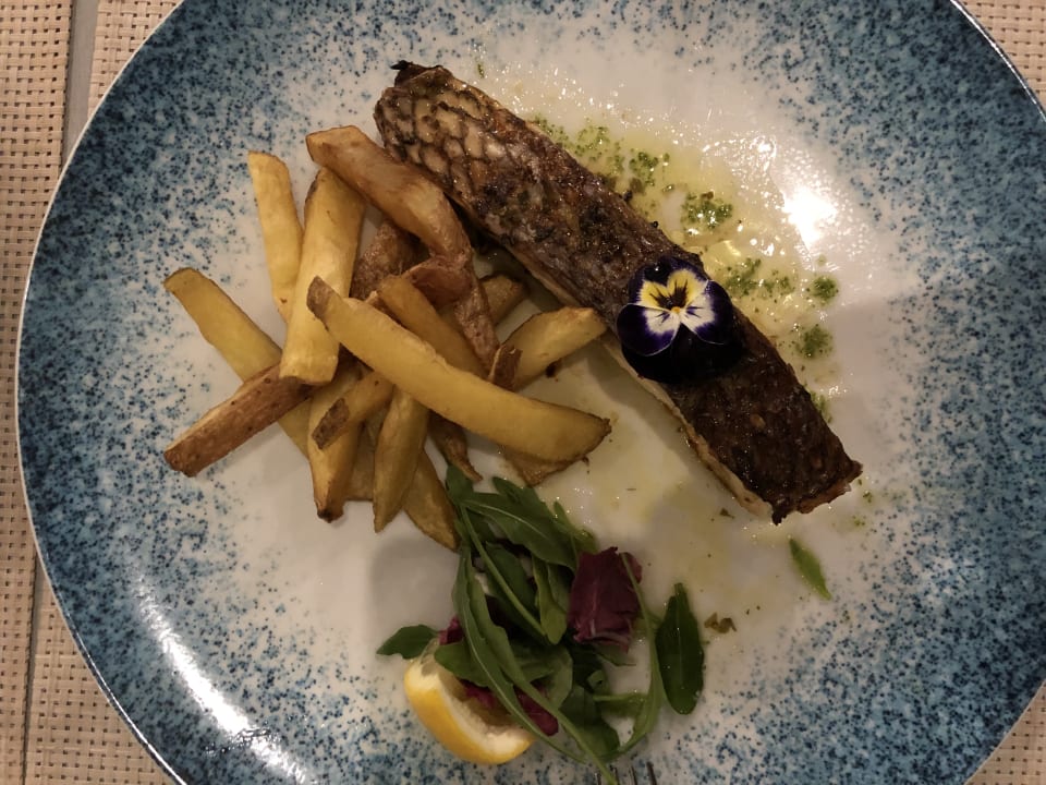 Gastro Sentido Galomar