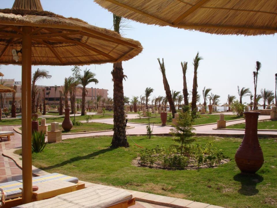 Blick vom Pool Richtung Strand Pickalbatros Palace Resort