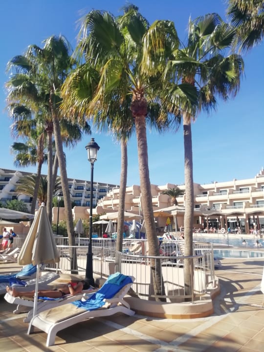 Pool SBH Hotel Taro Beach