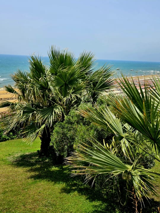 Ausblick Can Garden Resort