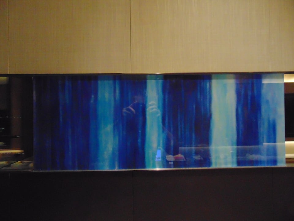 Zimmer Harbour Grand Kowloon