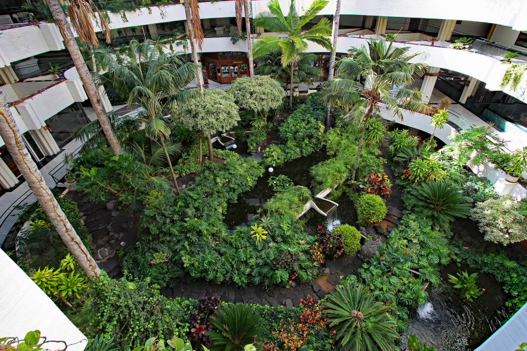 Gartenanlage Paradisus by Meliá Salinas Lanzarote
