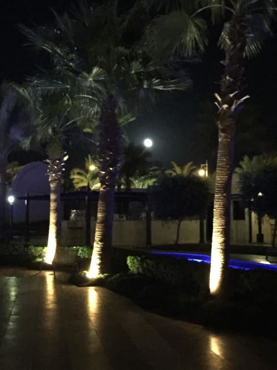 Steigenberger Aqua Magic Steigenberger Aqua Magic