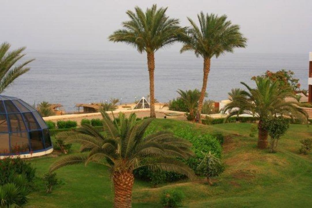 Widok z basenu Concorde El Salam Hotel Sharm el Sheikh by Royal Tulip