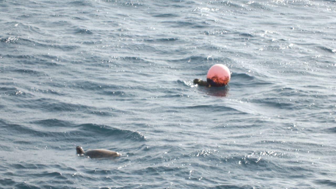 Strand Casa Mare Resort