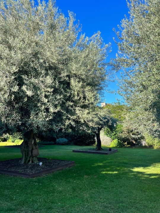 Gartenanlage Hotel Donna Carmela