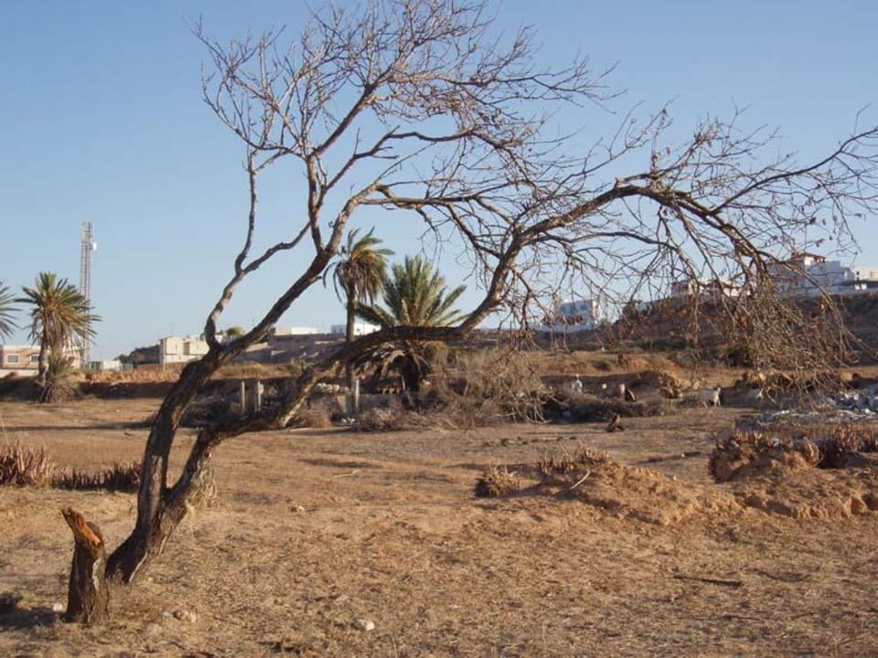 Landseite gegenüber, so lebt man Hotel Eden Star