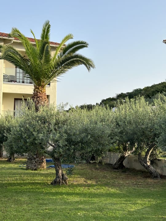 Gartenanlage Akrathos Beach Hotel