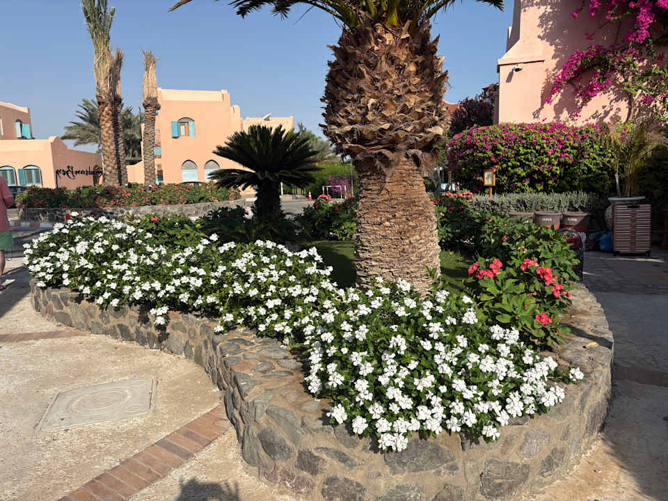 Gartenanlage Sultan Bey Hotel, El Gouna