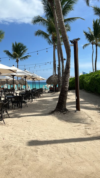 Strand Dreams Dominicus La Romana