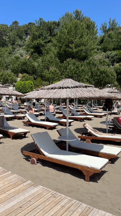 Strand TUI BLUE Seno - Adults Only