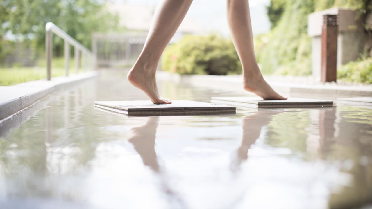 Sonstiges Theiner's Garten Bio Vitalhotel