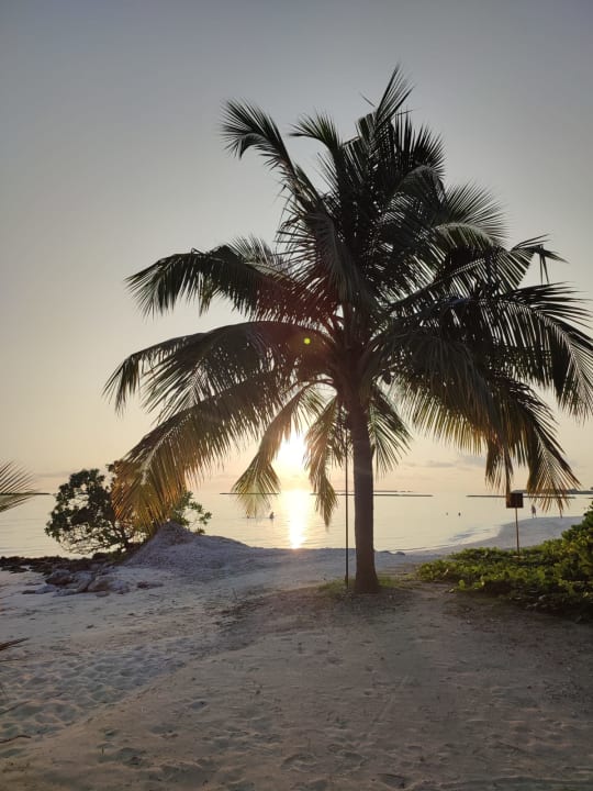 Strand Adaaran Select Meedhupparu Island Resort - Premium All Inclusive