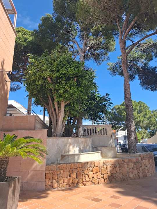 Außenansicht Hotel Beach Club Font de Sa Cala