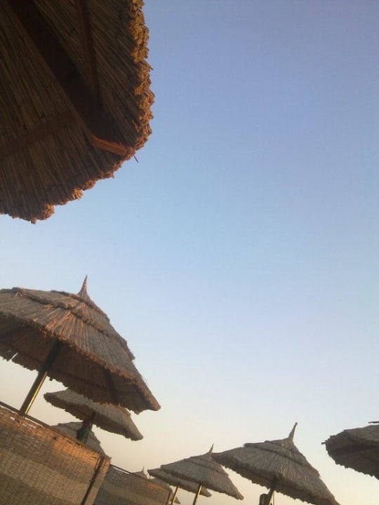 Sonnenschirme Pickalbatros Sands Hotel - Port Ghalib