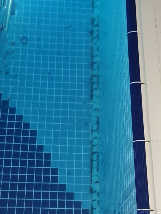 Pool Well Palace Side