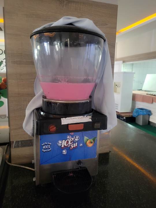 Gastro Hotel Catty Cats Garden