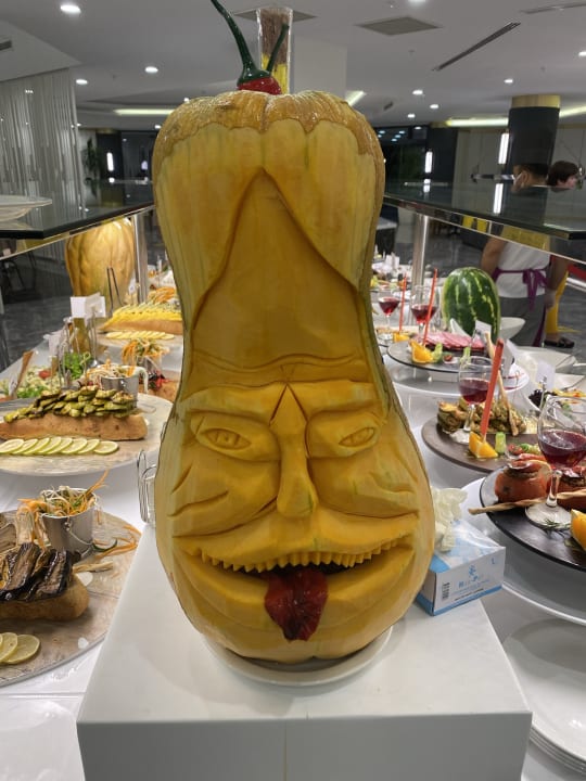 Gastro Monachus Family Resort Sorgun