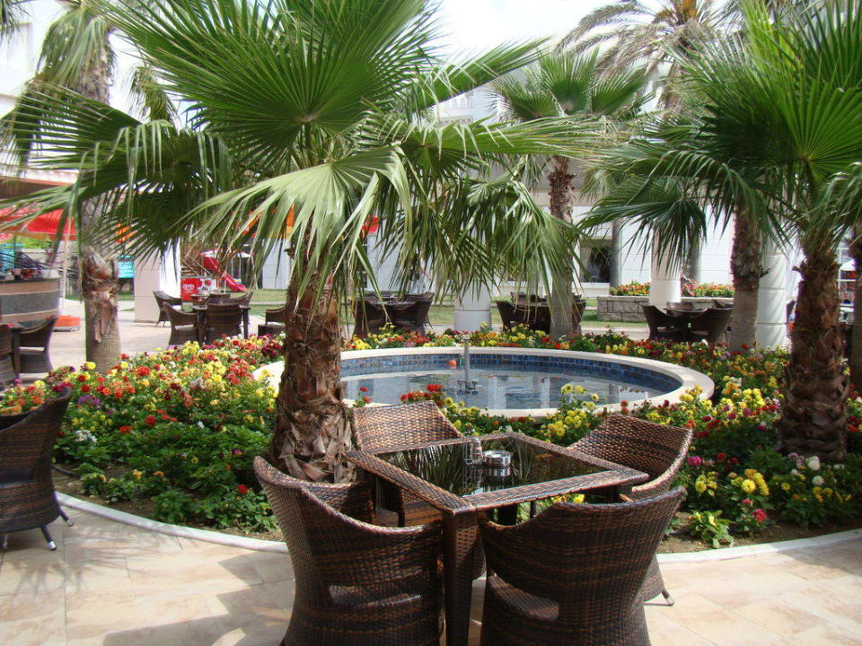 Бар Kamelya Collection Selin Hotel