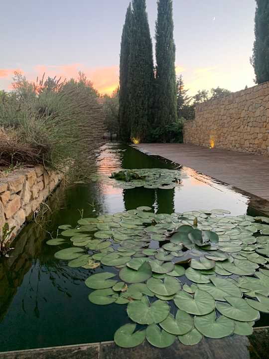 Gartenanlage Relais de la Magdeleine