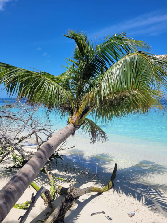 Strand Embudu Village