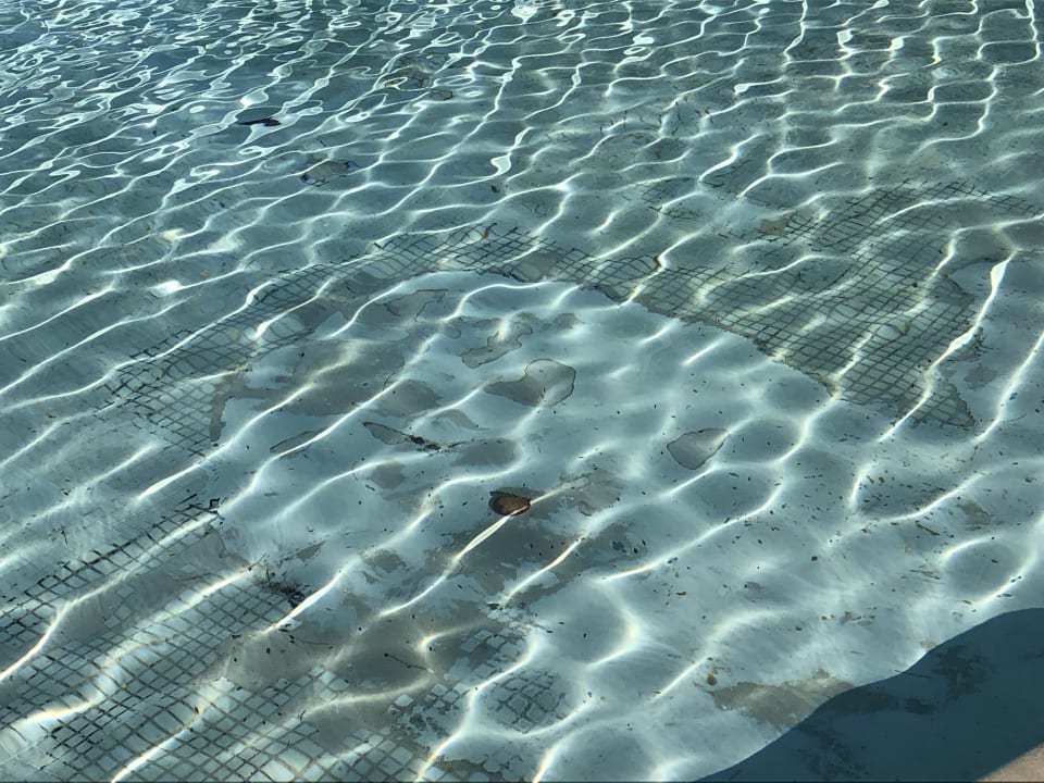 Pool Grand Waterworld Makadi & Family Star Makadi