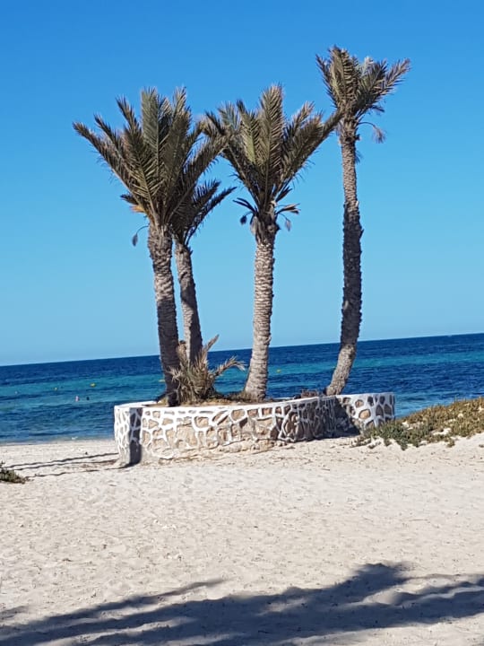 Strand Hotel El Mouradi Djerba Menzel