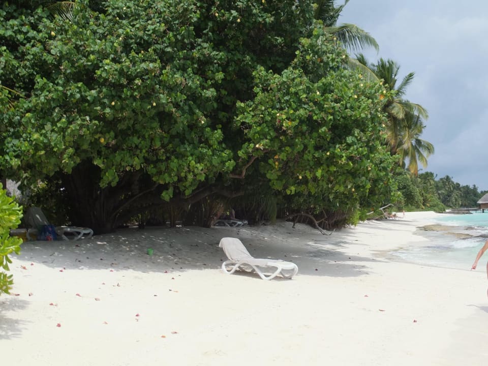 ... Kuramathi Maldives