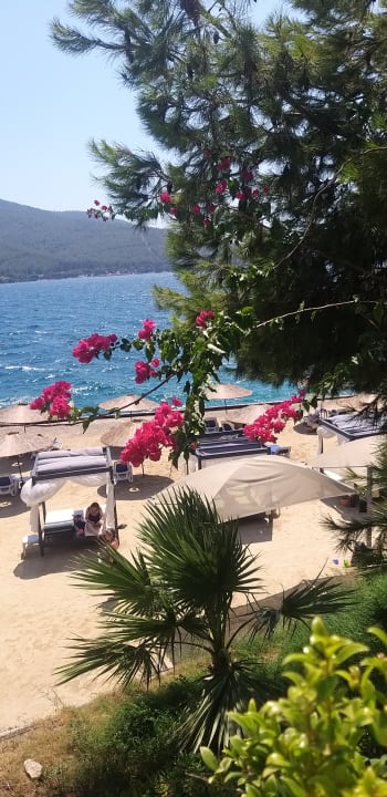 Ausblick La Blanche Island Bodrum