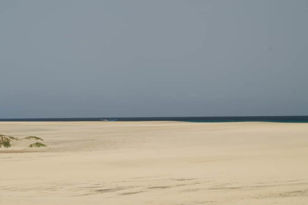 Plaża i ocean Oasis Salinas Sea