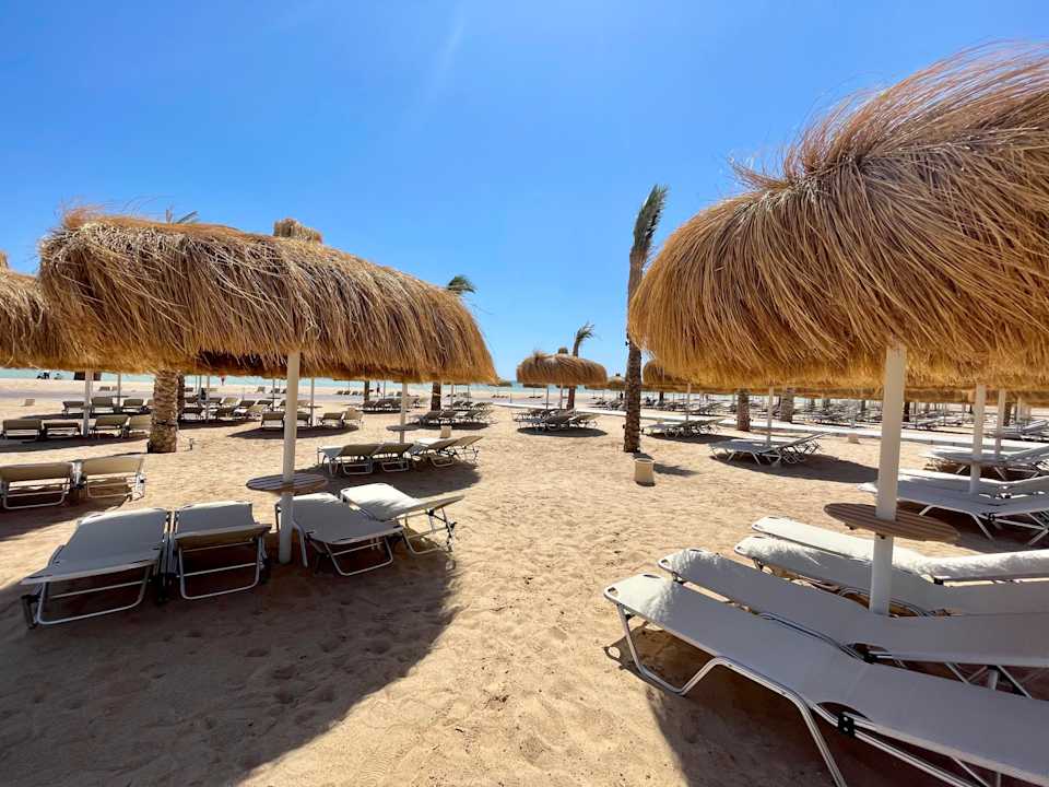 Strand JAZ Elite Asteria