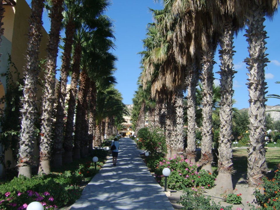 Palmenallee Porto Bello Beach
