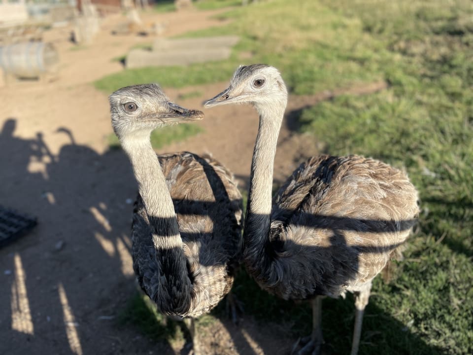 Sport & Freizeit Hotel Tannenmühle