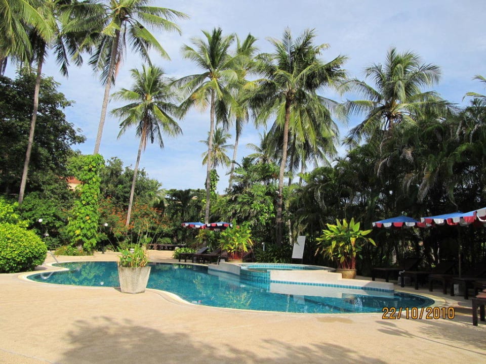 Der Hauptpool The Fair House Beach Resort