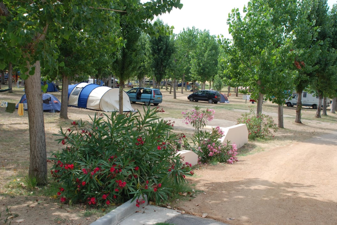 Emplacement camping Camping U Sommalu