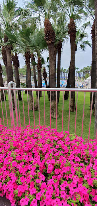 Sport & Freizeit Monachus Family Resort Sorgun