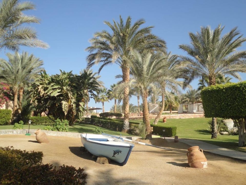 Viele schöne Motive Steigenberger Coraya Beach - Adults only