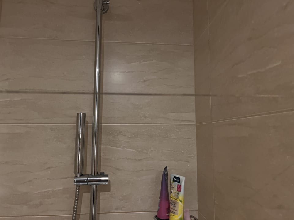 Zimmer Meliá Laguna Beach