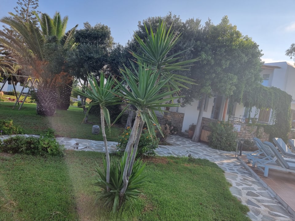 Gartenanlage Alkyoni Beach Hotel